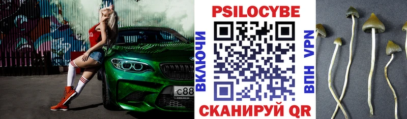 Галлюциногенные грибы Cubensis  Сосногорск 